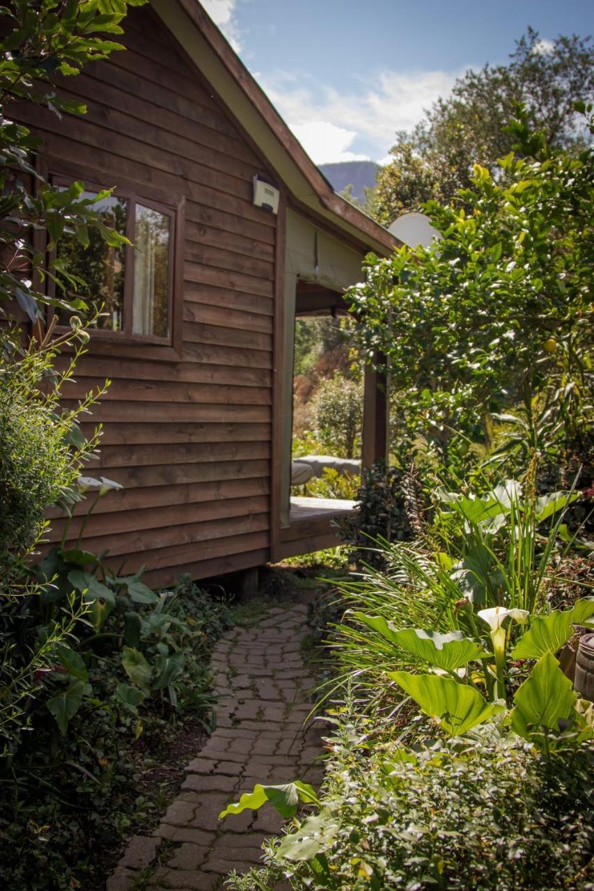 Pear Tree Cottage Stormsrivier Zewnętrze zdjęcie