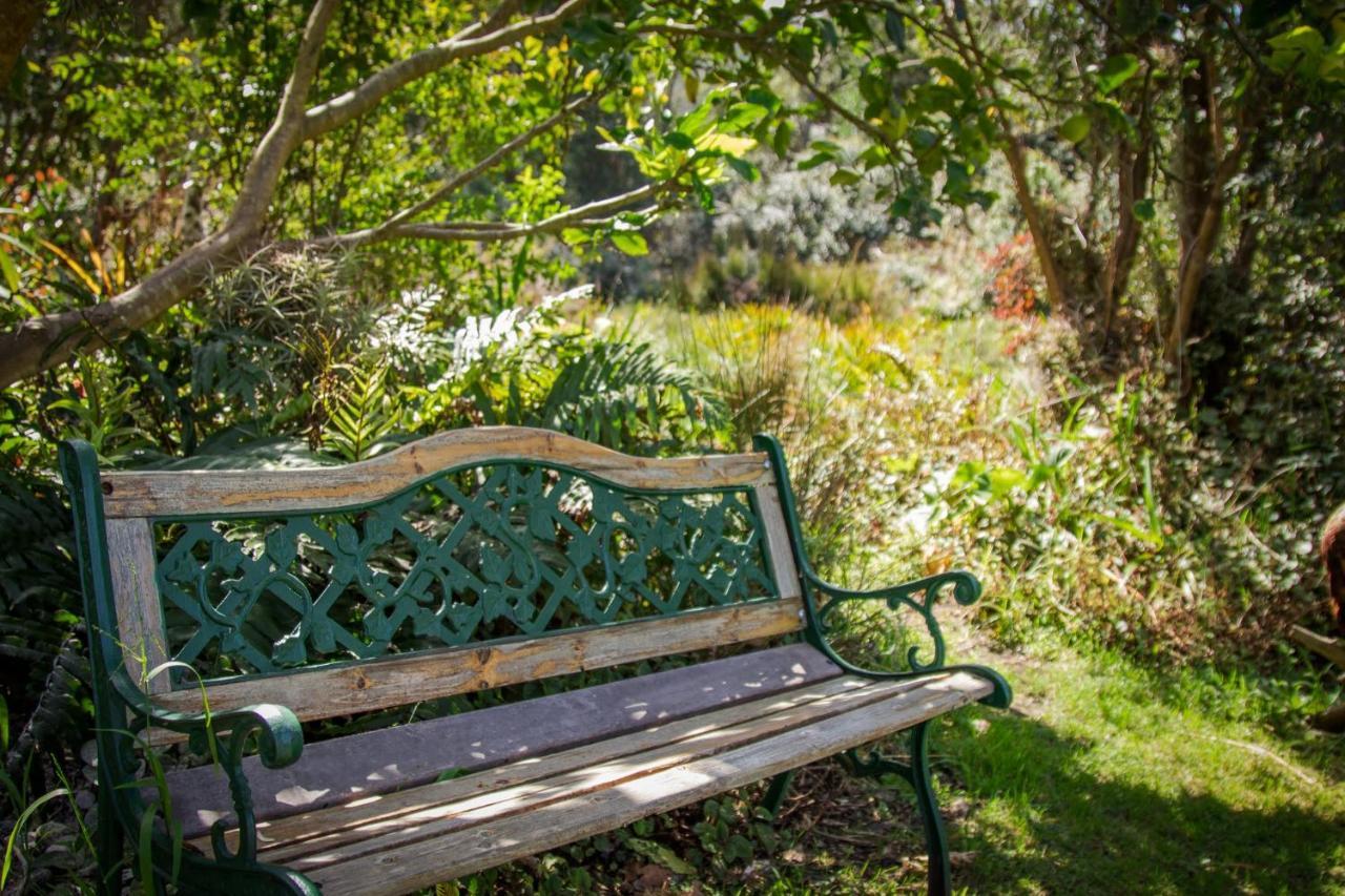 Pear Tree Cottage Stormsrivier Zewnętrze zdjęcie